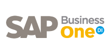 SAP Business One DI