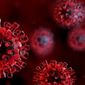 Coronavirus-info